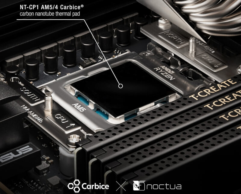 Noctua Carbice
